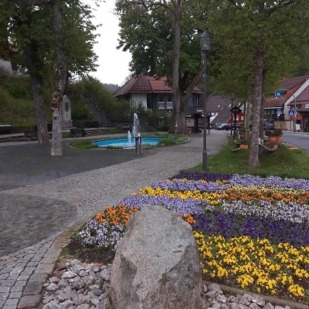 Crisand Wald &Terrasse Angebot 2Xeintrittskarten Therme Fuer November 2024 Altenau  Exterior photo