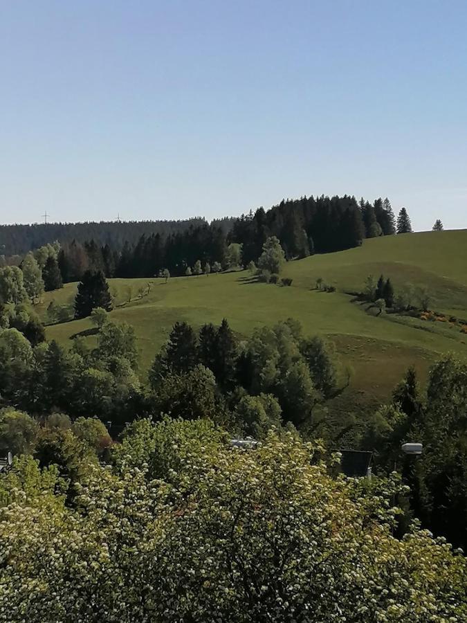 Crisand Wald &terrasse Angebot 2xeintrittskarten Therme Fuer November 2024 Apartment *